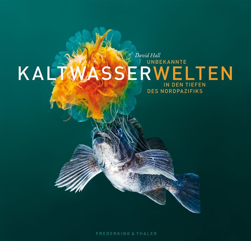 Unbekannte Kaltwasserwelten