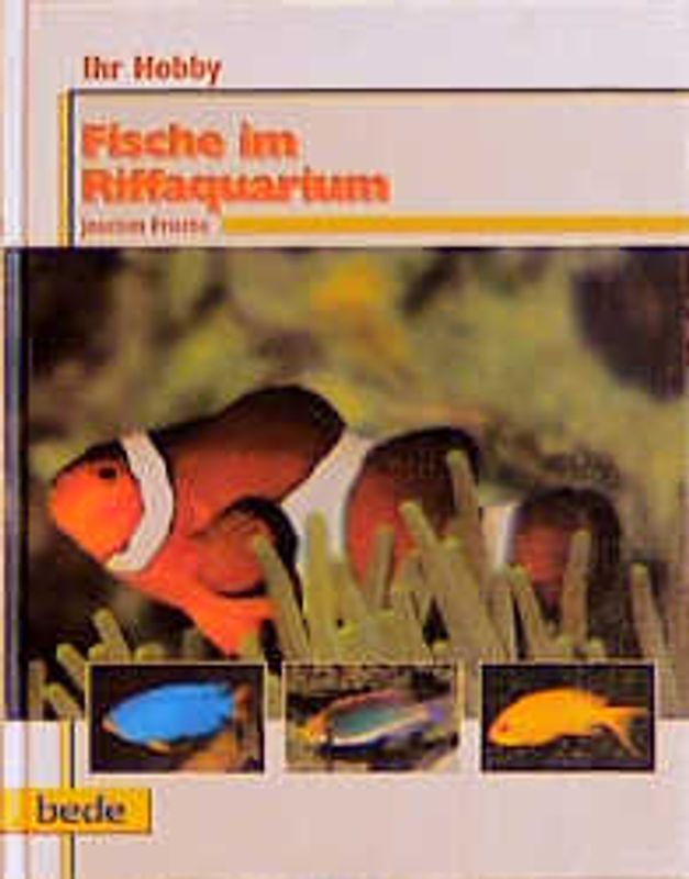 Ihr Hobby Fische im Riffaquarium