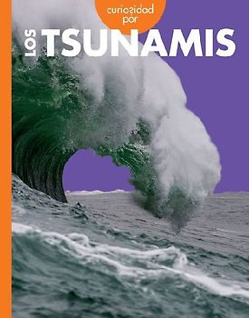 Curiosidad Por Los Tsunamis
