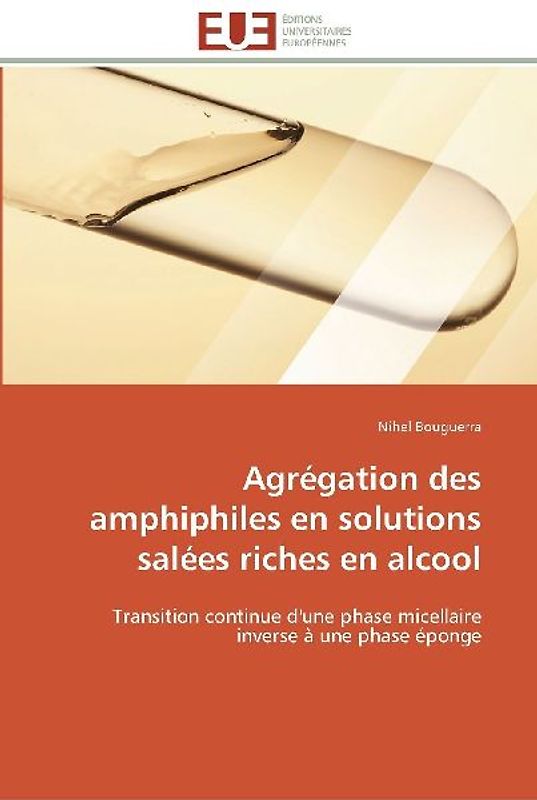 Agrégation des amphiphiles en solutions salées riches en alcool