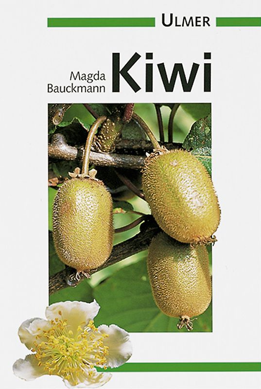 Kiwi