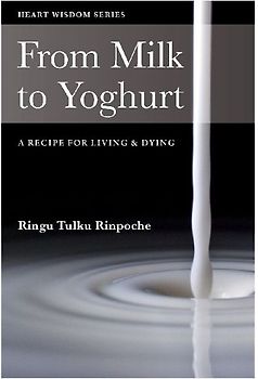 From Milk to Yoghurt