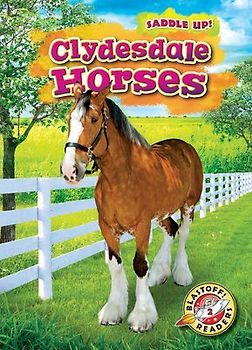 Clydesdale Horses