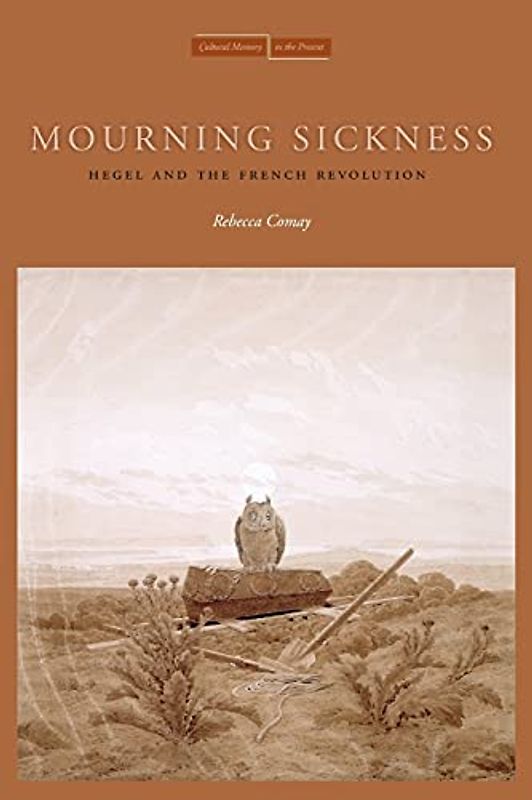 Mourning Sickness: Hegel and the French Revolution (Cultural Memory in the Present)