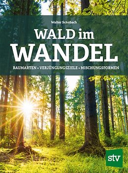 Wald im Wandel