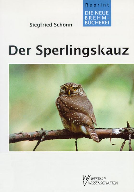 Der Sperlingskauz