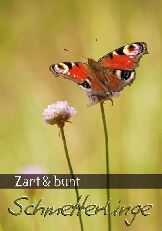Zart & bunt: Schmetterlinge (Tischaufsteller DIN A5 hoch)