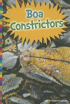 Boa Constrictors