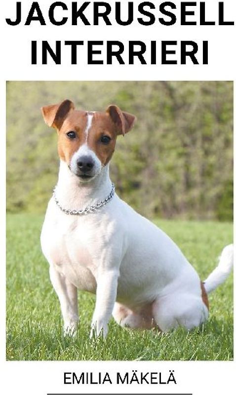 Jackrussellinterrieri