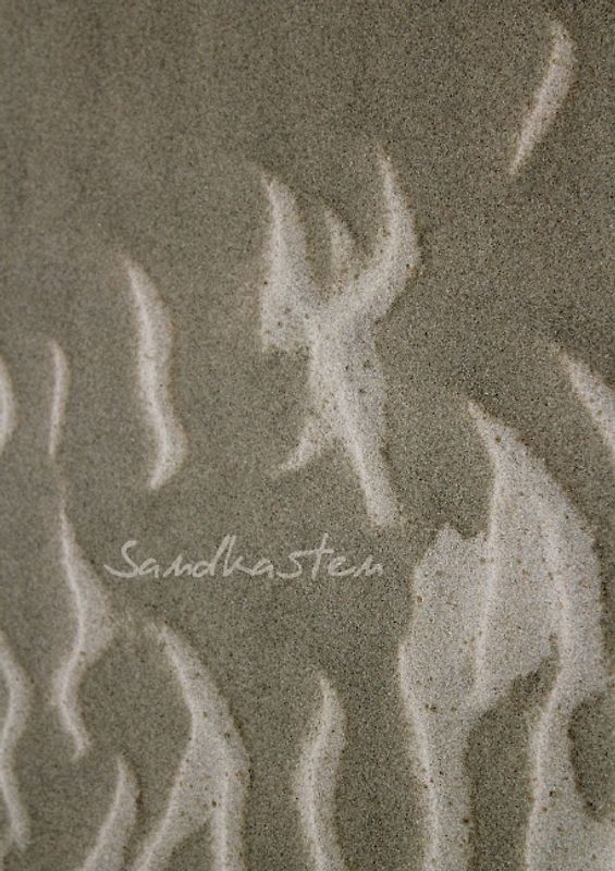 Sandkasten (Posterbuch DIN A3 hoch)