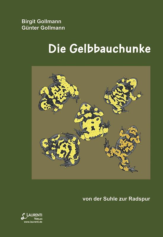 Die Gelbbauchunke