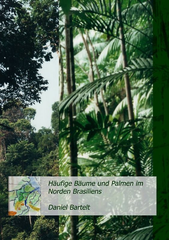 Häufige Bäume und Palmen im Norden Brasiliens (Pará). Für Globetrotter und interessierte Amazonas- Reisende