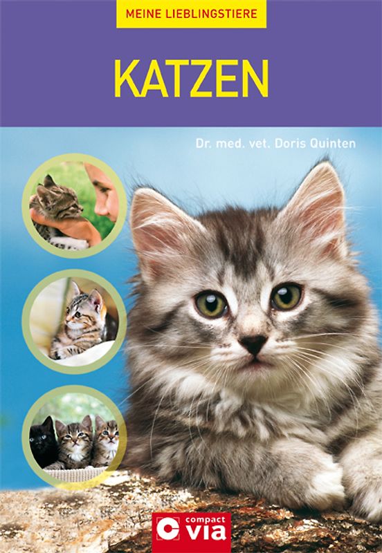 Katzen