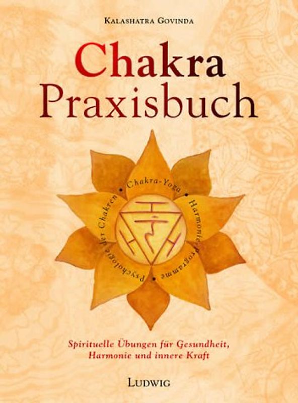 Das Chakra-Praxisbuch