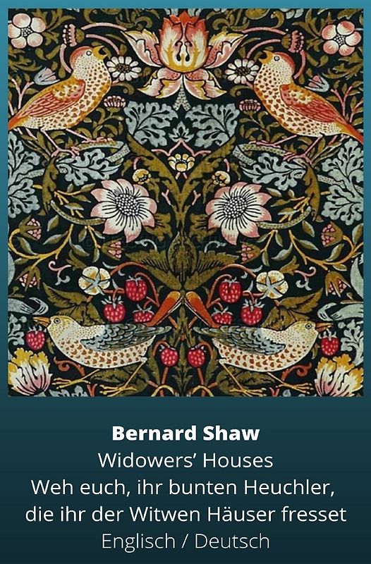 Weh euch, ihr bunten Heuchler, die ihr der Witwen Häuser fresset