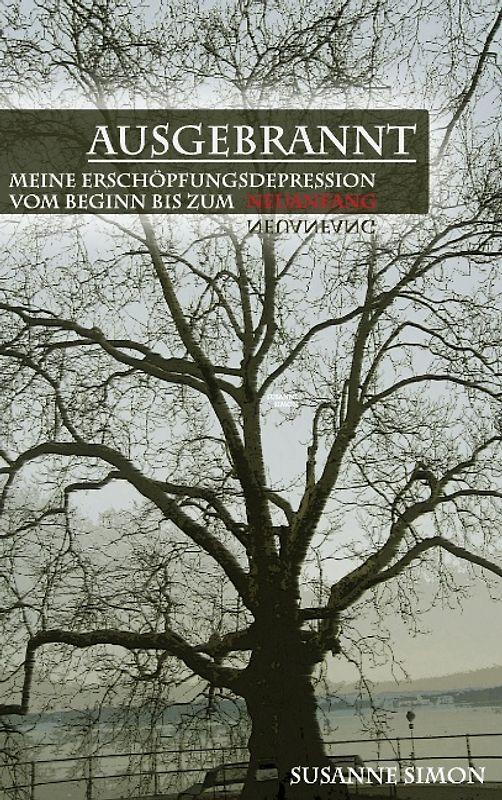 Ausgebrannt. Meine Erschöpfungsdepression vom Beginn bis zum Neuanfang