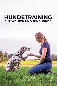Hundetraining für Welpen und Junghunde