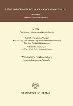Wirtschaftliche Nutzbarmachung von eisenhaltigen Abfallstoffen
