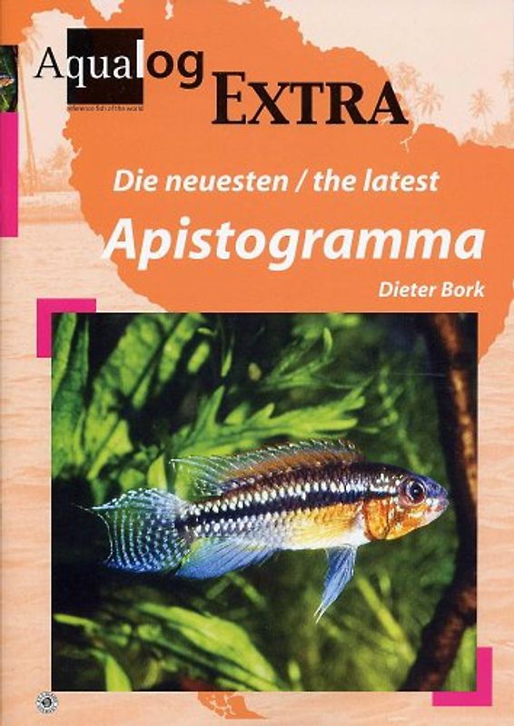 Die neusten /the latest Apistogramma