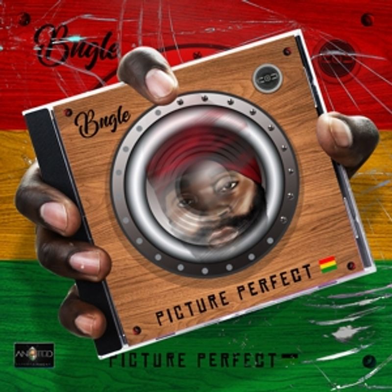 Bugle - Picture Perfect [2CD-Set Digipak] [2 CDs]