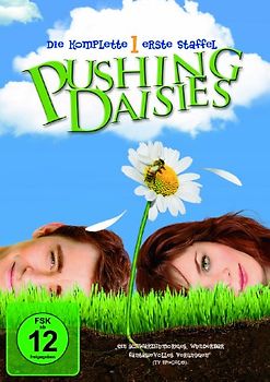 Pushing Daisies - Staffel 1 [3 DVDs] DVD
