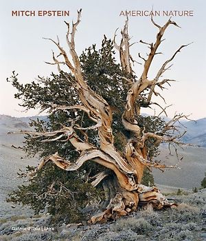 Mitch Epstein: American Nature