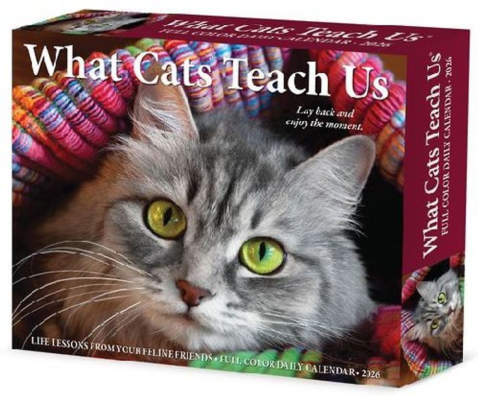 What Cats Teach Us 2026 5.4 X 6.2 Box Calendar