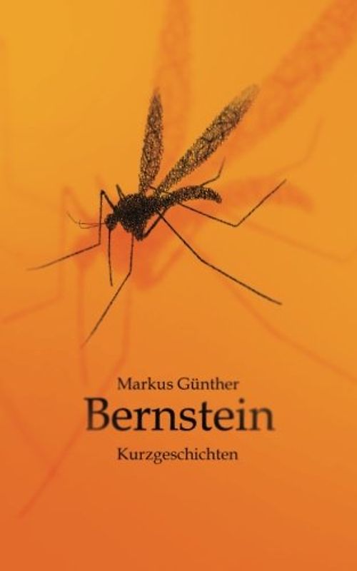 Bernstein: Kurzgeschichten