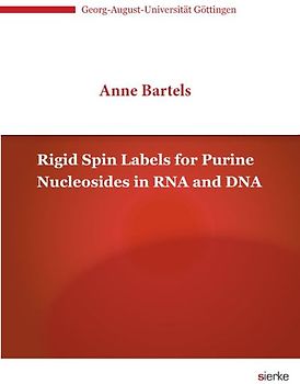 Rigid Spin Labels for Purine Nucleosides in RNA and DNA