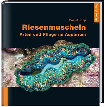 Riesenmuscheln