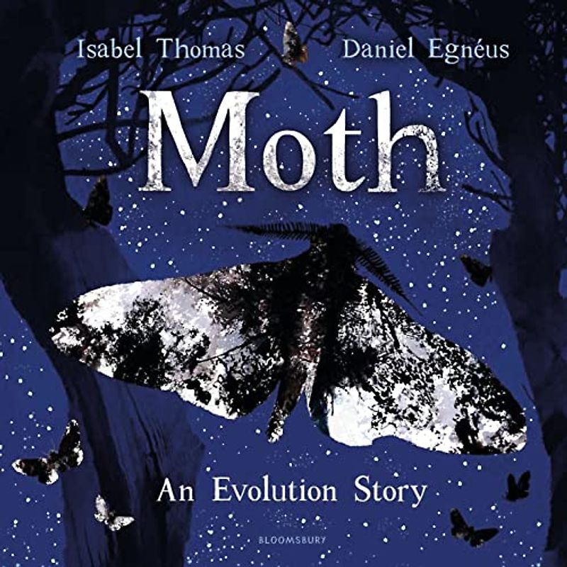 Moth: An Evolution Story