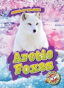 Arctic Foxes