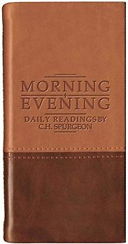 Morning and Evening - Matt Tan/Burgundy