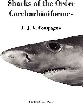 Sharks of the Order Carcharhiniformes