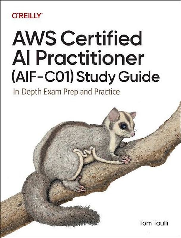 AWS Certified AI Practitioner (Aif-C01) Study Guide