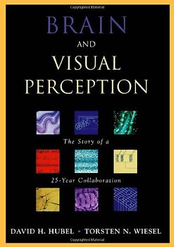 Brain and Visual Perception: The Story of a 25-Year Collaboration - David H. Hubel