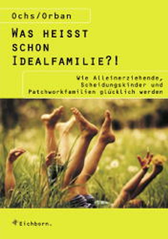 Was heisst schon Idealfamilie?. Wie Alleinerziehende, Scheidungskinder und Patchworkfamilien glücklich werden