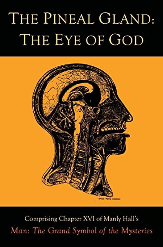 The Pineal Gland: The Eye of God