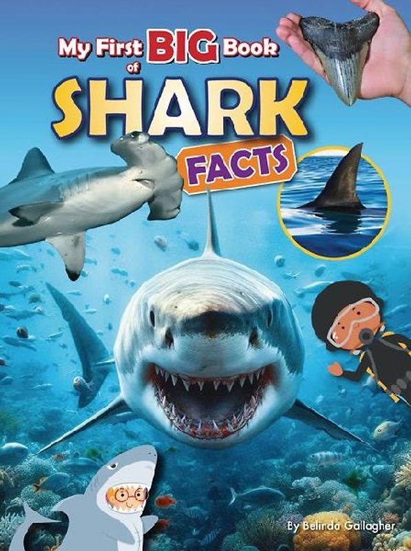 My First Big Book of Shark Facts