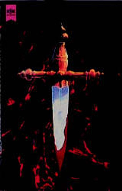 Unheiliges Feuer. Roman