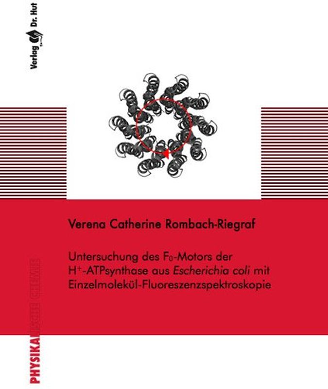 Untersuchung des F0-Motors der H+-ATPsynthase aus Escherichia coli mit Einzelmolekül-Fluoreszenzspektroskopie