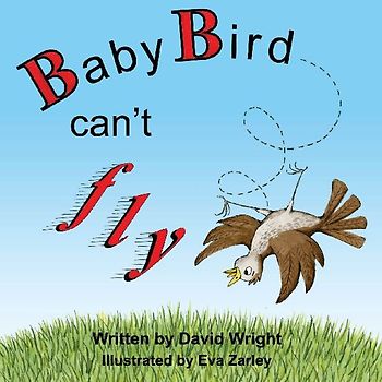 Baby Bird Can't Fly