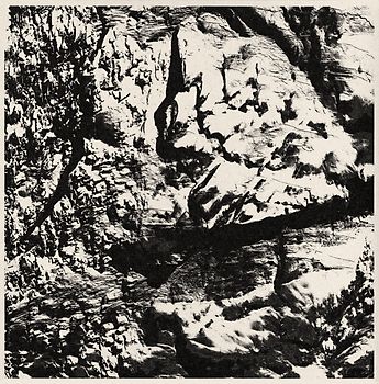 Light. Special Edition