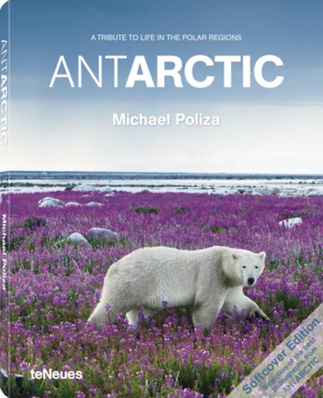 AntArctic, Paperback