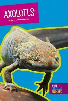 Axolotls