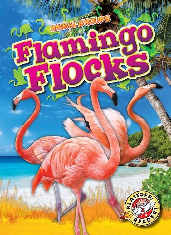 Flamingo Flocks