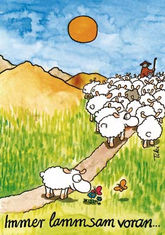 Immer lammsam voran! - Schäfchenposter