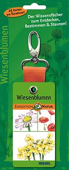 Expedition Natur - Wiesenblumen