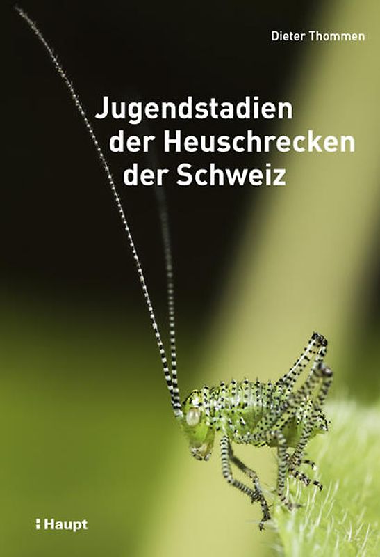 Jugendstadien der Heuschrecken der Schweiz