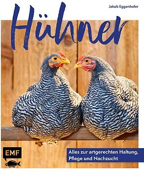 Hühner: Alles zur artgerechten Haltung, Pflege und Nachzucht